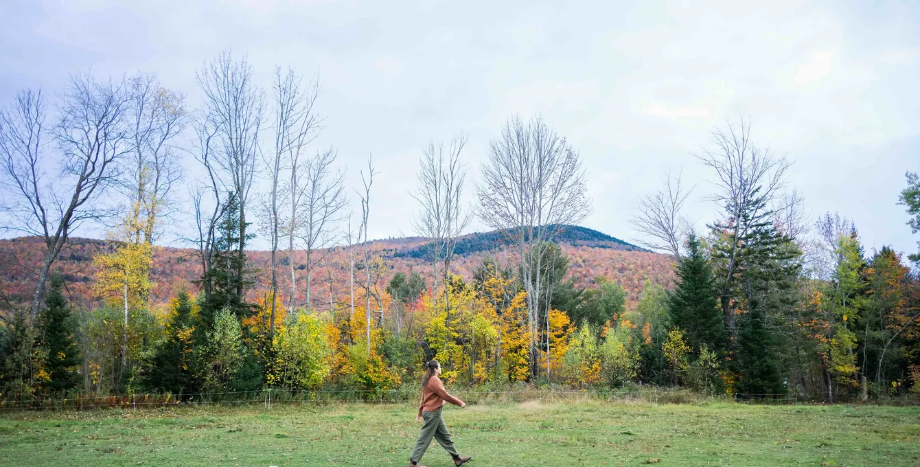 Amber walking in a field