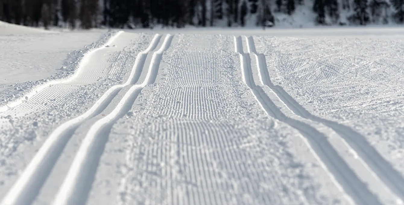 XC ski tracks