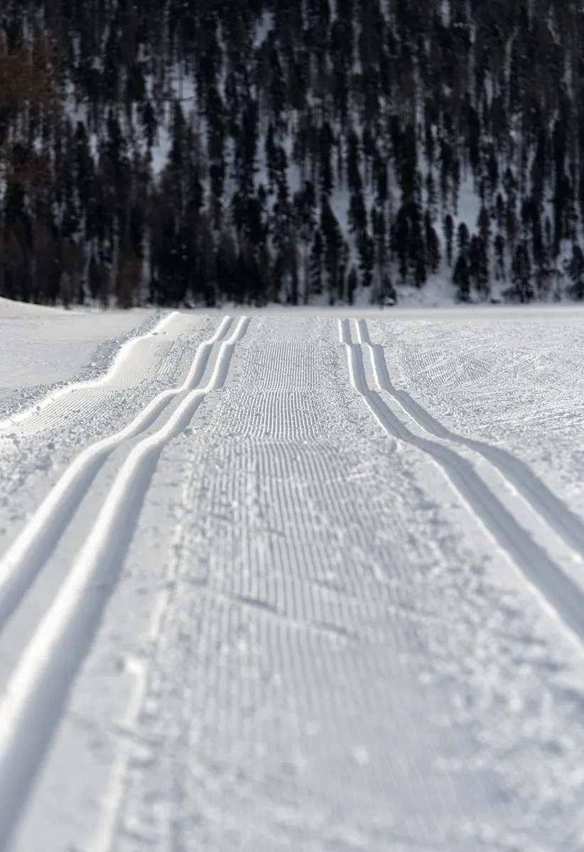 Cross-country ski tracks in the snow